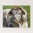 Search for longhorn puzzles Cows