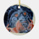 Search for working pet supplies Rottweiler
