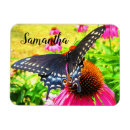 Search for swallowtail butterfly magnets Yellow