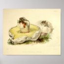 Search for cap art Vintage