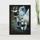 Search for funny 65th birthday cards Friend