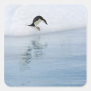 Search for gentoo stickers Penguins