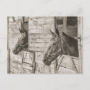 Search for stable postcards Barn