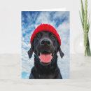Search for labrador invitations Cute dog