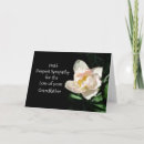 Search for loss of grandfather sympathy cards Grandpa