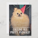 Search for funny dog image invitations Puppy