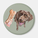 Search for lab magnets Dog