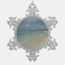 Search for aruba christmas tree decorations Ocean