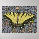 Search for easterners posters Travel