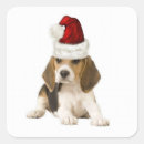 Search for beagle hound stickers Animals