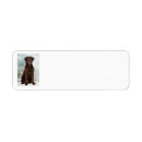 Search for chocolate lab return address labels Pet