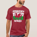 Search for anglesey Wales