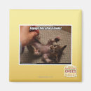 Search for engage magnets I can has cheezburger