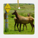 Search for mammal christmas tree decorations Nature