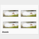 Search for tiny small stickers Insect