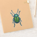 Search for entomology stickers Beetle