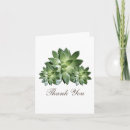 Search for succulent thank you cards Floral