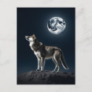 Search for wolf postcards Night