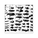 Search for lures cards invites Angler