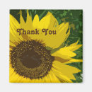 Search for single magnets Floral
