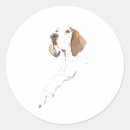 Search for pointer dog stickers Pet