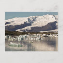 Search for ecosystem postcards Ecology