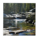 Search for river rock tiles Park