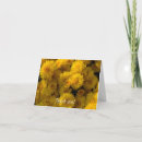 Search for yellow chrysanthemums cards Gold