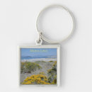Search for ca key rings Lake