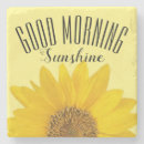 Search for sunshine coasters Sunny