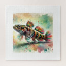 Search for goby Aquarium