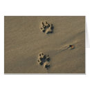 Search for dog footprints postcards Animal