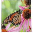 Search for monarch butterfly shower curtains Garden