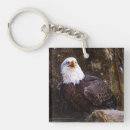 Search for bald eagle key rings Wildlife