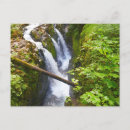 Search for duc postcards Nature