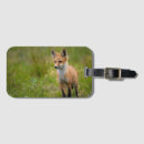 Search for fox luggage tags Wildlife
