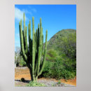Search for pipe organ Cactus