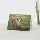 Search for bulldog get well cards Co worker
