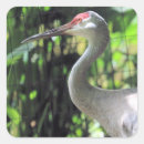 Search for sandhill crane stickers Bird