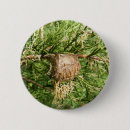 Search for mantis badges Nature
