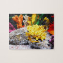 Search for seahorse puzzles Marine