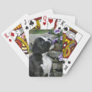 Search for bob and pam langrish Canine photographer