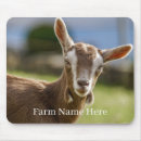 Search for dairy farm gifts Barn