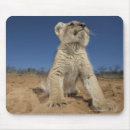 Search for namibia mousepads Outdoors