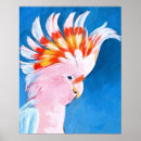 Search for cockatoo posters Tropical