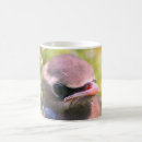 Search for waxwing mugs Animal