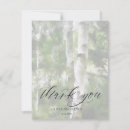 Search for aspen trees cards Mountains