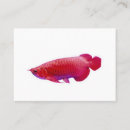 Search for dragon business cards Indonesia