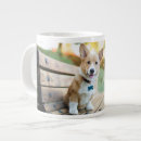 Search for corgi puppy mugs Canine