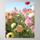 Search for spring colors posters Colorful flowers